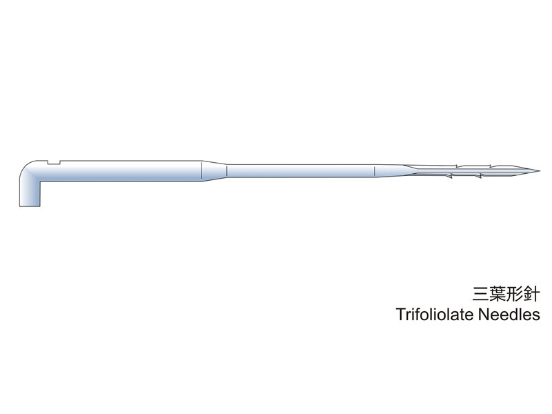 Trifoliolate Needles